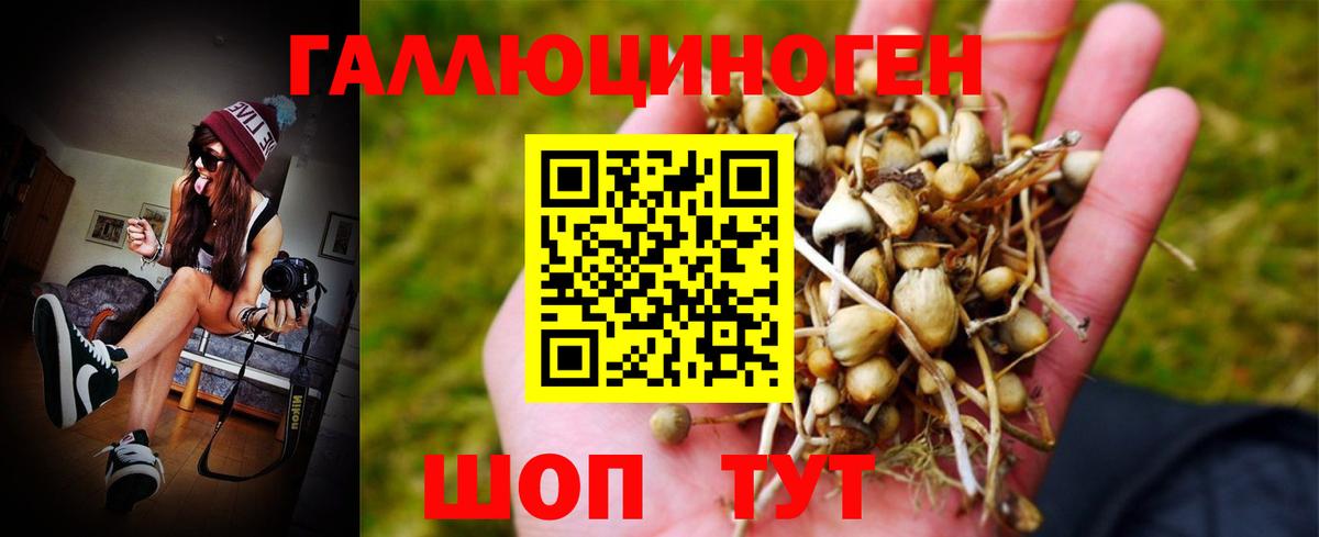 Псилоцибиновые грибы MAGIC MUSHROOMS  Вход с VPN  Ачхой-Мартан 