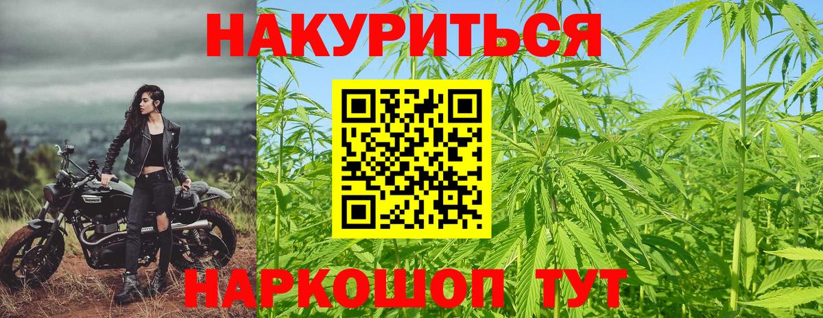 Бошки Шишки AK-47 Ачхой-Мартан